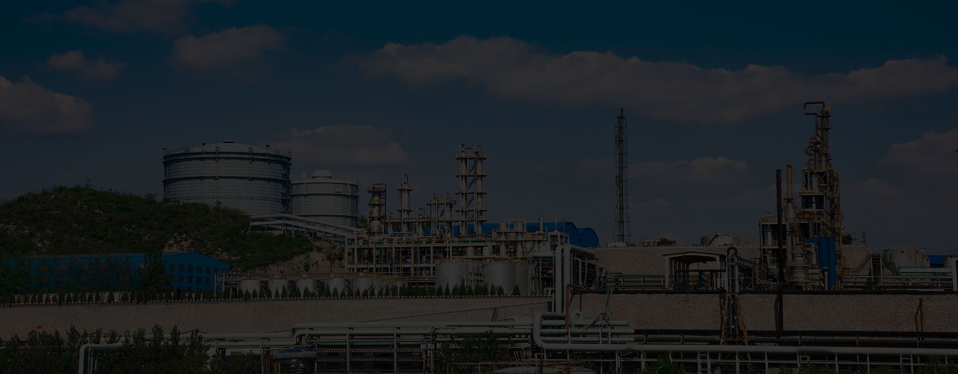 老子有钱lzyq88官网